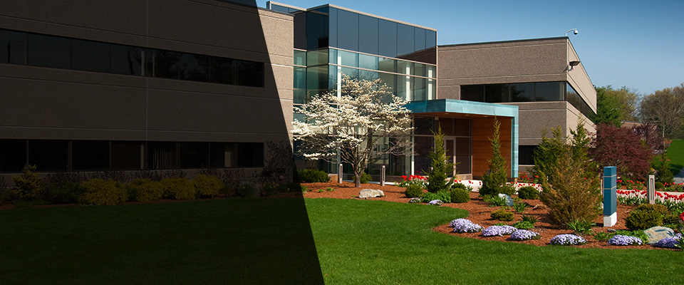 Seabrook Landscapers