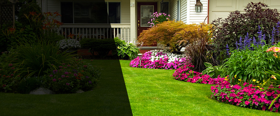 Seabrook Landscapers