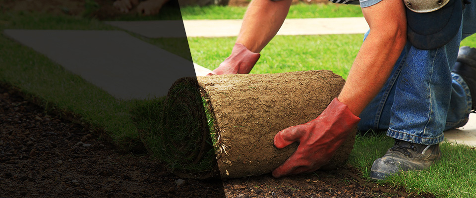 Seabrook Landscapers